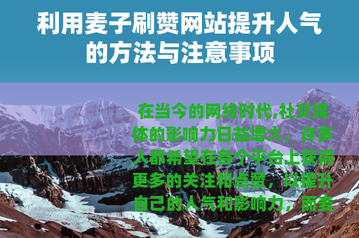 利用麦子刷赞网站提升人气的方法与注意事项