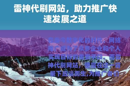 雷神代刷网站，助力推广快速发展之道