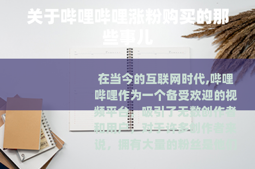 关于哔哩哔哩涨粉购买的那些事儿