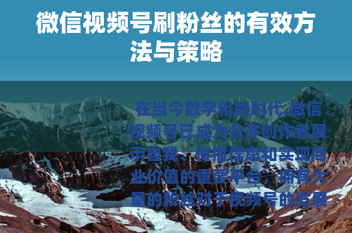 微信视频号刷粉丝的有效方法与策略