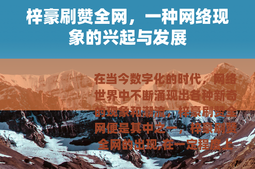 梓豪刷赞全网，一种网络现象的兴起与发展