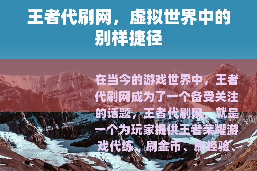 王者代刷网，虚拟世界中的别样捷径