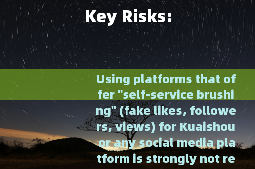 Key Risks: