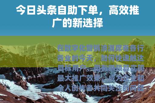 今日头条自助下单，高效推广的新选择