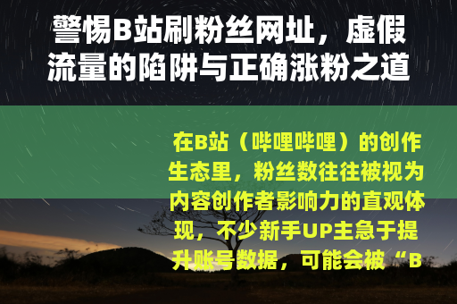 警惕B站刷粉丝网址，虚假流量的陷阱与正确涨粉之道