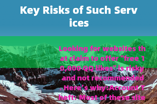 Key Risks of Such Services
