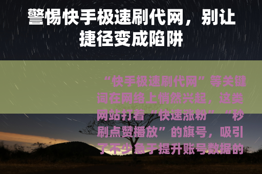 警惕快手极速刷代网，别让捷径变成陷阱