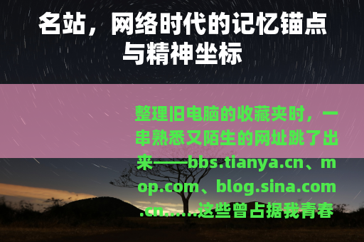 名站，网络时代的记忆锚点与精神坐标