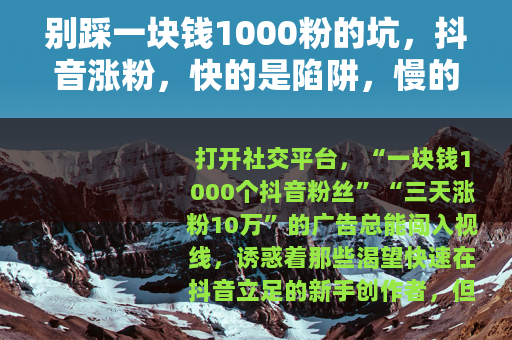 别踩一块钱1000粉的坑，抖音涨粉，快的是陷阱，慢的才是正道