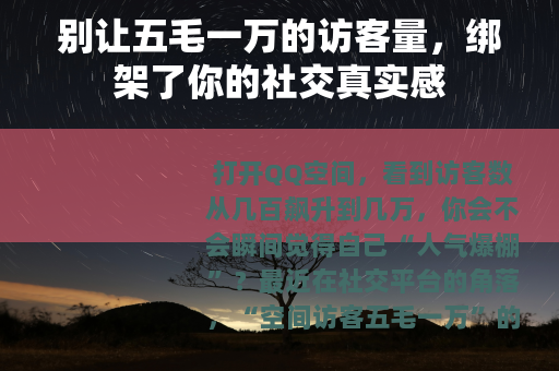 别让五毛一万的访客量，绑架了你的社交真实感