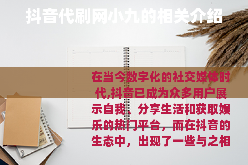 抖音代刷网小九的相关介绍