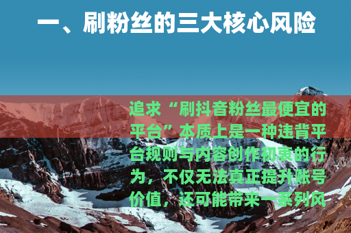 一、刷粉丝的三大核心风险