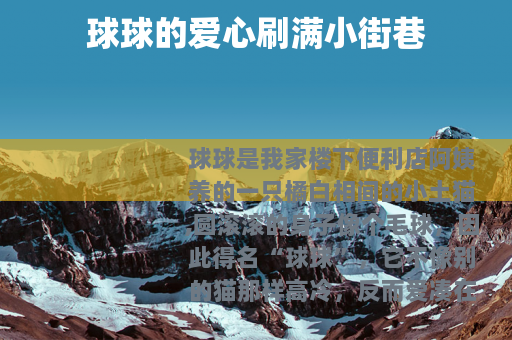 球球的爱心刷满小街巷