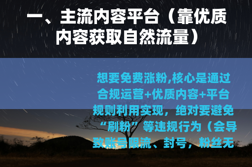 一、主流内容平台（靠优质内容获取自然流量）
