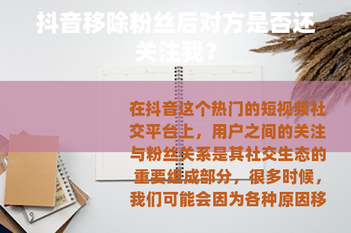 抖音移除粉丝后对方是否还关注我？