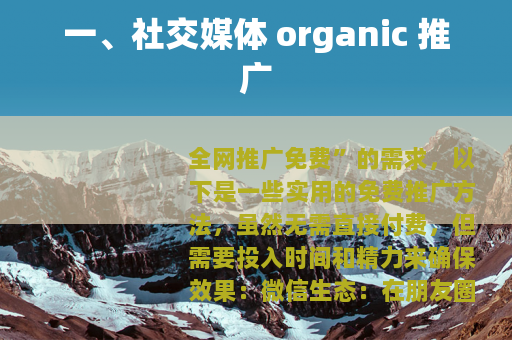 一、社交媒体 organic 推广