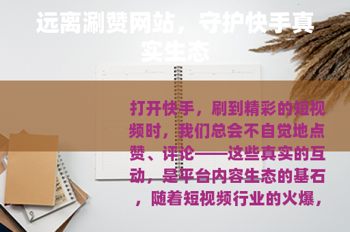 远离涮赞网站，守护快手真实生态