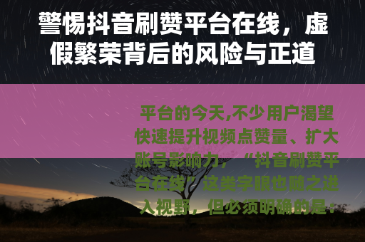 警惕抖音刷赞平台在线，虚假繁荣背后的风险与正道