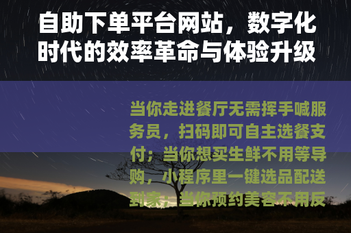 自助下单平台网站，数字化时代的效率革命与体验升级