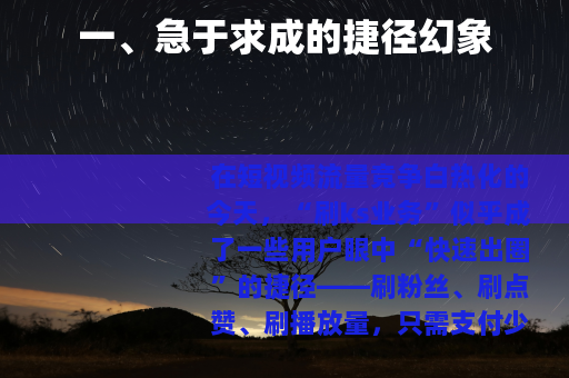 一、急于求成的捷径幻象