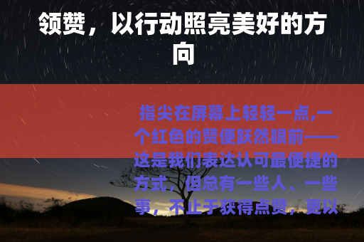 领赞，以行动照亮美好的方向