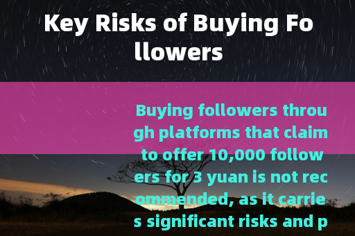 Key Risks of Buying Followers