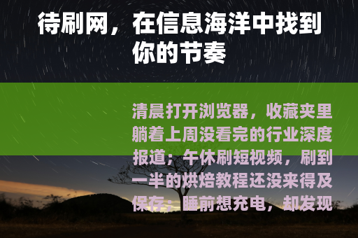 待刷网，在信息海洋中找到你的节奏