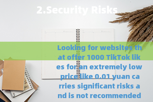 2.Security Risks