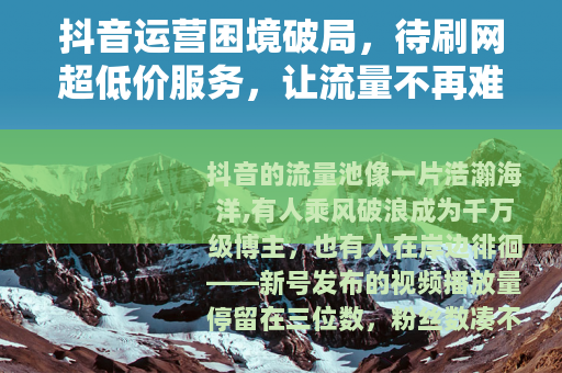 抖音运营困境破局，待刷网超低价服务，让流量不再难产