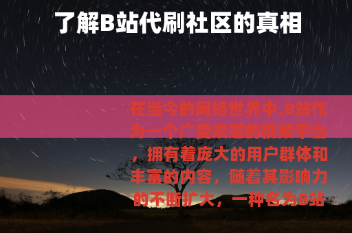 了解B站代刷社区的真相