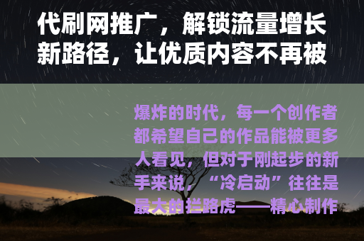 代刷网推广，解锁流量增长新路径，让优质内容不再被埋没