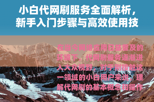 小白代网刷服务全面解析，新手入门步骤与高效使用技巧指南