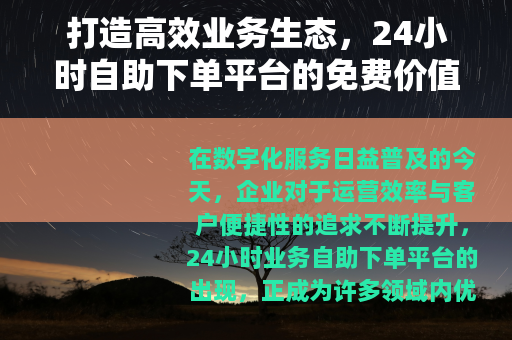 打造高效业务生态，24小时自助下单平台的免费价值分析