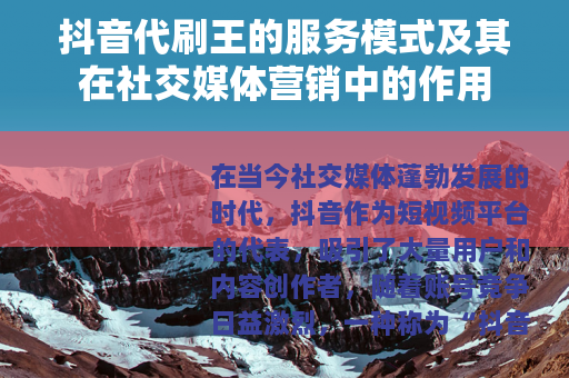 抖音代刷王的服务模式及其在社交媒体营销中的作用