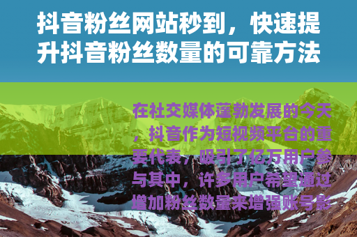 抖音粉丝网站秒到，快速提升抖音粉丝数量的可靠方法与服务解析