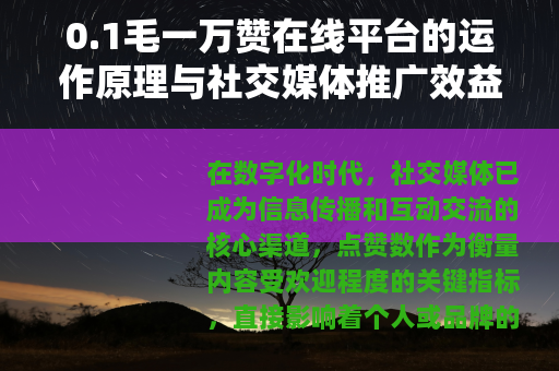 0.1毛一万赞在线平台的运作原理与社交媒体推广效益分析