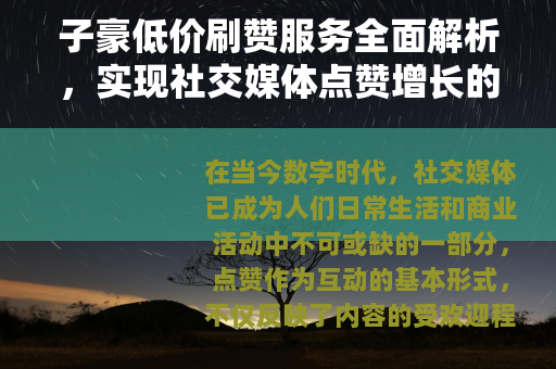 子豪低价刷赞服务全面解析，实现社交媒体点赞增长的经济途径
