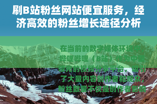 刷B站粉丝网站便宜服务，经济高效的粉丝增长途径分析