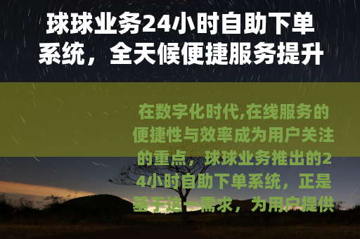 球球业务24小时自助下单系统，全天候便捷服务提升用户体验