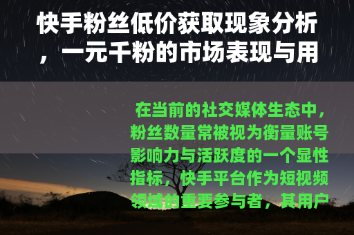 快手粉丝低价获取现象分析，一元千粉的市场表现与用户考量