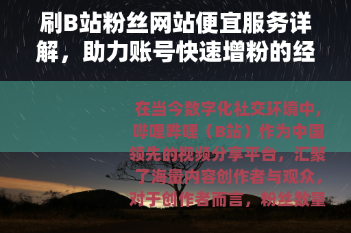 刷B站粉丝网站便宜服务详解，助力账号快速增粉的经济选择