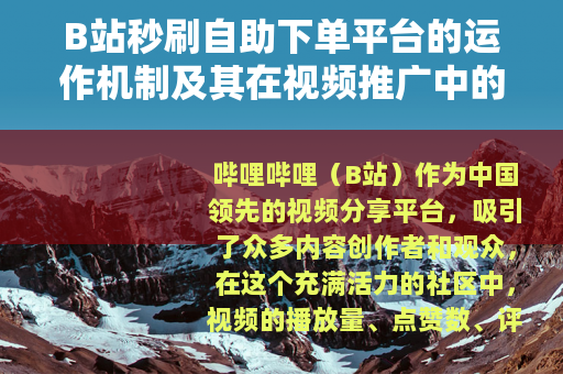 B站秒刷自助下单平台的运作机制及其在视频推广中的应用