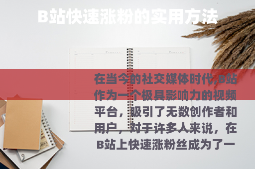 B站快速涨粉的实用方法