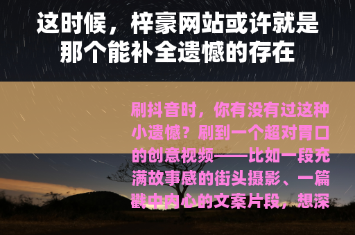 这时候，梓豪网站或许就是那个能补全遗憾的存在