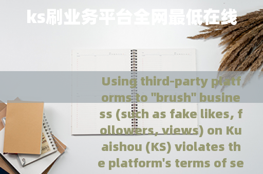 ks刷业务平台全网最低在线