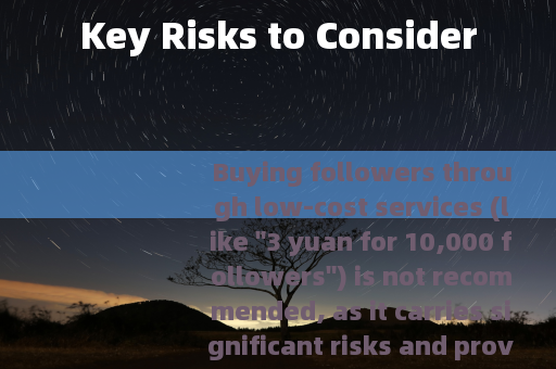 Key Risks to Consider