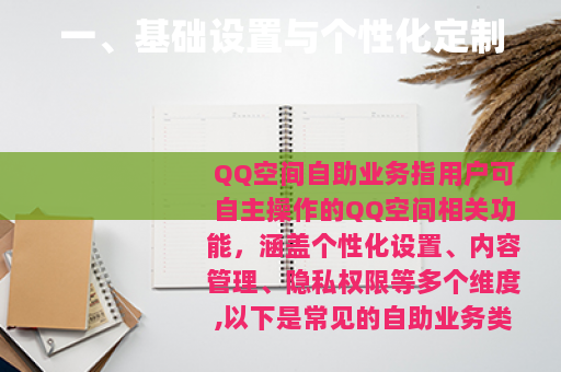 一、基础设置与个性化定制
