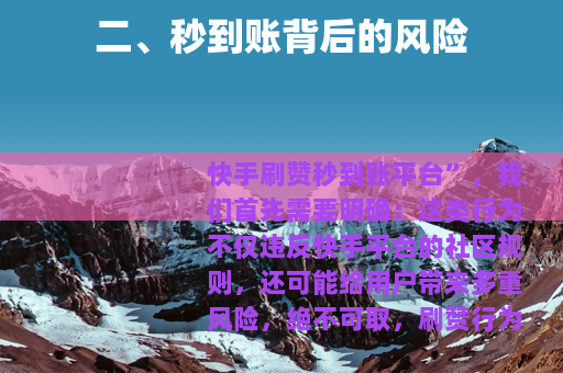 二、秒到账背后的风险