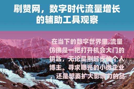 刷赞网，数字时代流量增长的辅助工具观察