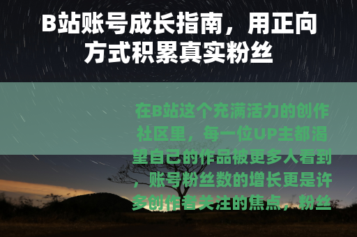 B站账号成长指南，用正向方式积累真实粉丝